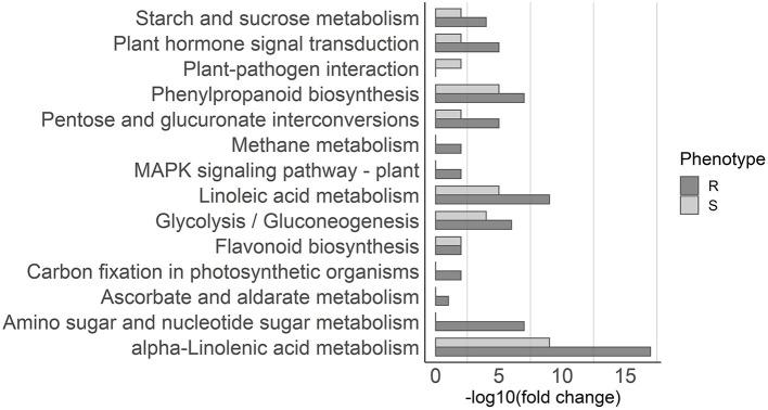 https://cdn.ncbi.nlm.nih.gov/pmc/blobs/1e3d/8222992/d4838474be6d/fpls-12-690857-g0004.jpg