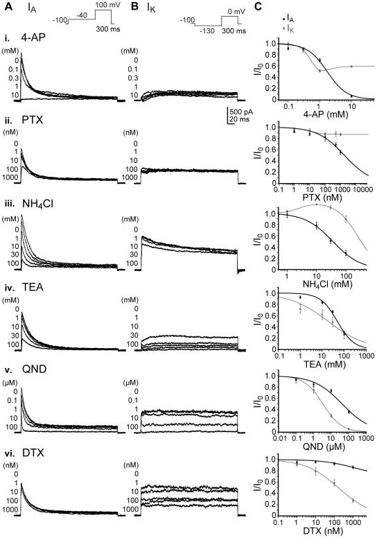 https://cdn.ncbi.nlm.nih.gov/pmc/blobs/1e3f/2702754/91c350547386/pone.0006168.g004.jpg