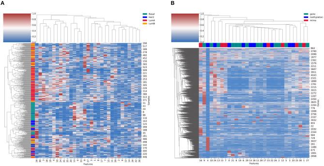 https://cdn.ncbi.nlm.nih.gov/pmc/blobs/1e40/8461247/256e20fee4d9/fgene-12-682841-g0011.jpg