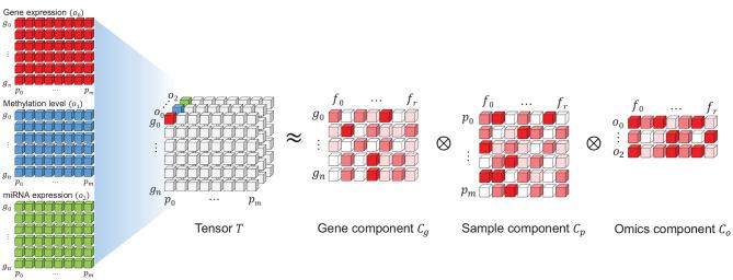 https://cdn.ncbi.nlm.nih.gov/pmc/blobs/1e40/8461247/6991df4ae046/fgene-12-682841-g0004.jpg