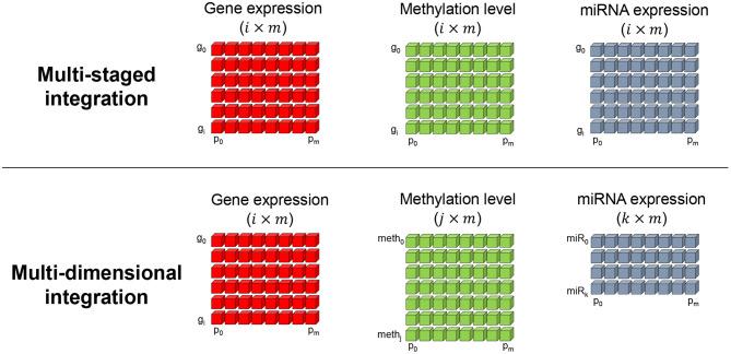https://cdn.ncbi.nlm.nih.gov/pmc/blobs/1e40/8461247/83ab0e29d59e/fgene-12-682841-g0002.jpg