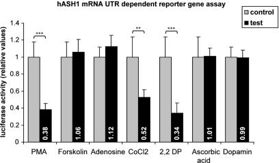 https://cdn.ncbi.nlm.nih.gov/pmc/blobs/1e41/3057490/9bca31c028f4/fnmol-04-00001-g004.jpg