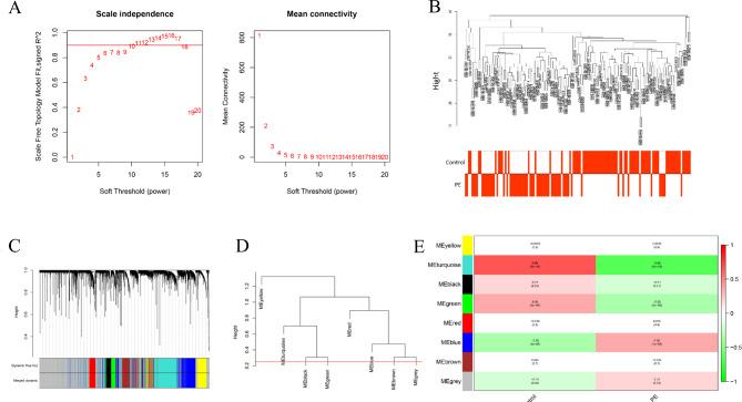 https://cdn.ncbi.nlm.nih.gov/pmc/blobs/1e43/11711461/9bd9caf43b9a/41598_2025_85599_Fig1_HTML.jpg