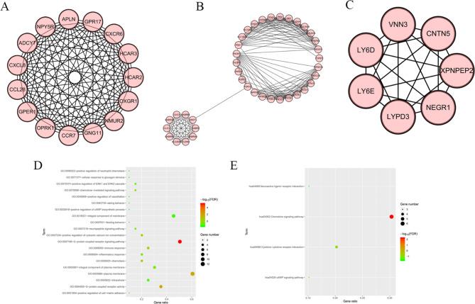 https://cdn.ncbi.nlm.nih.gov/pmc/blobs/1e43/11711461/dfdec4a518e7/41598_2025_85599_Fig5_HTML.jpg