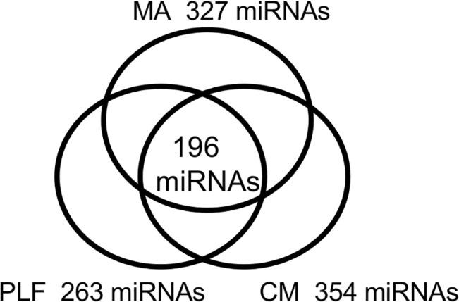 https://cdn.ncbi.nlm.nih.gov/pmc/blobs/1e43/4514651/5e3371d3c673/pone.0130472.g004.jpg