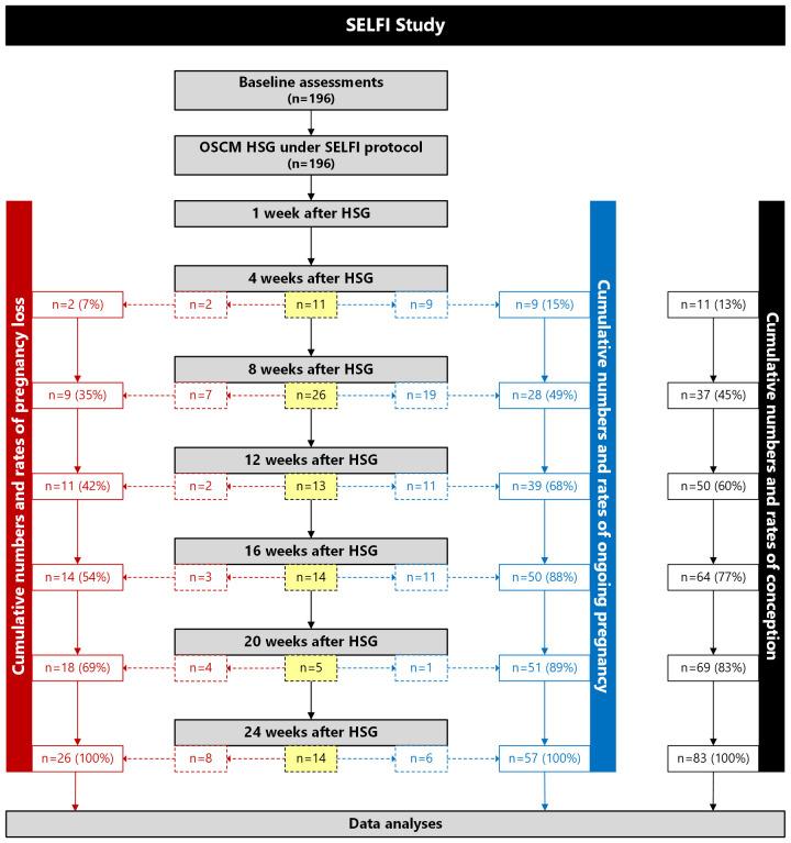 https://cdn.ncbi.nlm.nih.gov/pmc/blobs/1e44/11224778/c0ed66e7afcd/fendo-15-1257888-g001.jpg
