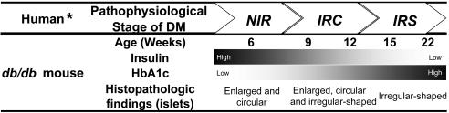 https://cdn.ncbi.nlm.nih.gov/pmc/blobs/1e46/3246058/16653e53f87a/tox-22-133-g003.jpg