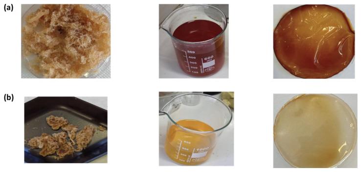 https://cdn.ncbi.nlm.nih.gov/pmc/blobs/1e47/11902335/445d12242a4c/polymers-17-00659-g005.jpg