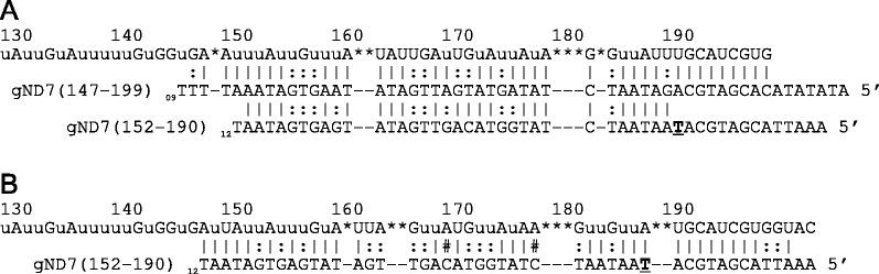 https://cdn.ncbi.nlm.nih.gov/pmc/blobs/1e47/3919587/c46df123f2c8/gkt973f5p.jpg