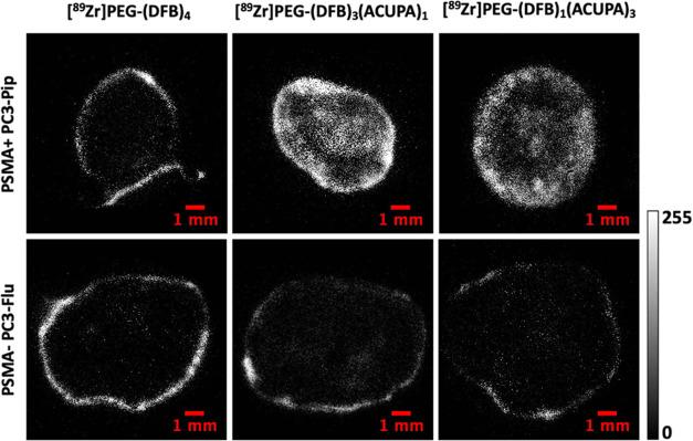https://cdn.ncbi.nlm.nih.gov/pmc/blobs/1e48/9673064/e8c78a748e57/am2c15095_0007.jpg