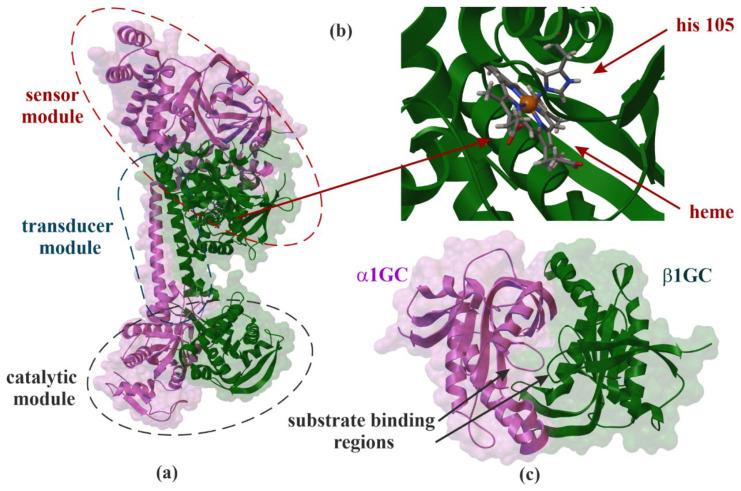 https://cdn.ncbi.nlm.nih.gov/pmc/blobs/1e49/8200204/2c77bab591b6/molecules-26-03418-g001.jpg