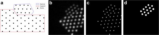 https://cdn.ncbi.nlm.nih.gov/pmc/blobs/1e4b/11297796/3fea42544c8b/41524_2024_1360_Fig2_HTML.jpg