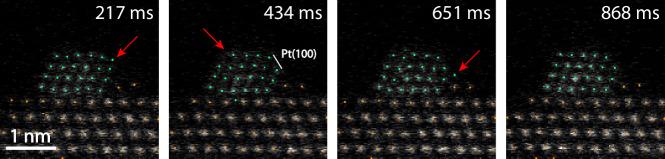 https://cdn.ncbi.nlm.nih.gov/pmc/blobs/1e4b/11297796/90702debdffd/41524_2024_1360_Fig6_HTML.jpg