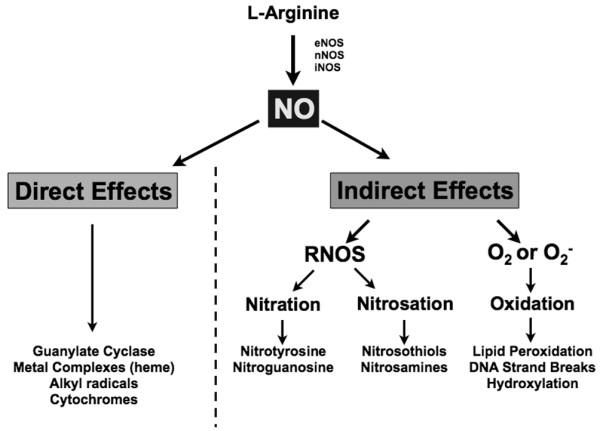 https://cdn.ncbi.nlm.nih.gov/pmc/blobs/1e4b/2750127/8e4c1638ee38/cc7706-1.jpg