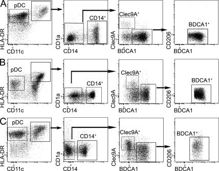 https://cdn.ncbi.nlm.nih.gov/pmc/blobs/1e4b/3328358/0654d81a5550/JEM_20111457_Fig2.jpg