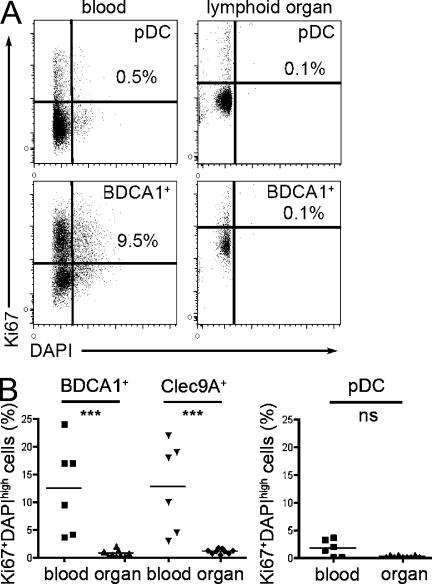 https://cdn.ncbi.nlm.nih.gov/pmc/blobs/1e4b/3328358/0962cc226f2c/JEM_20111457_Fig6.jpg