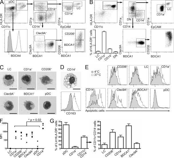 https://cdn.ncbi.nlm.nih.gov/pmc/blobs/1e4b/3328358/32e758ea58e2/JEM_20111457_Fig1.jpg