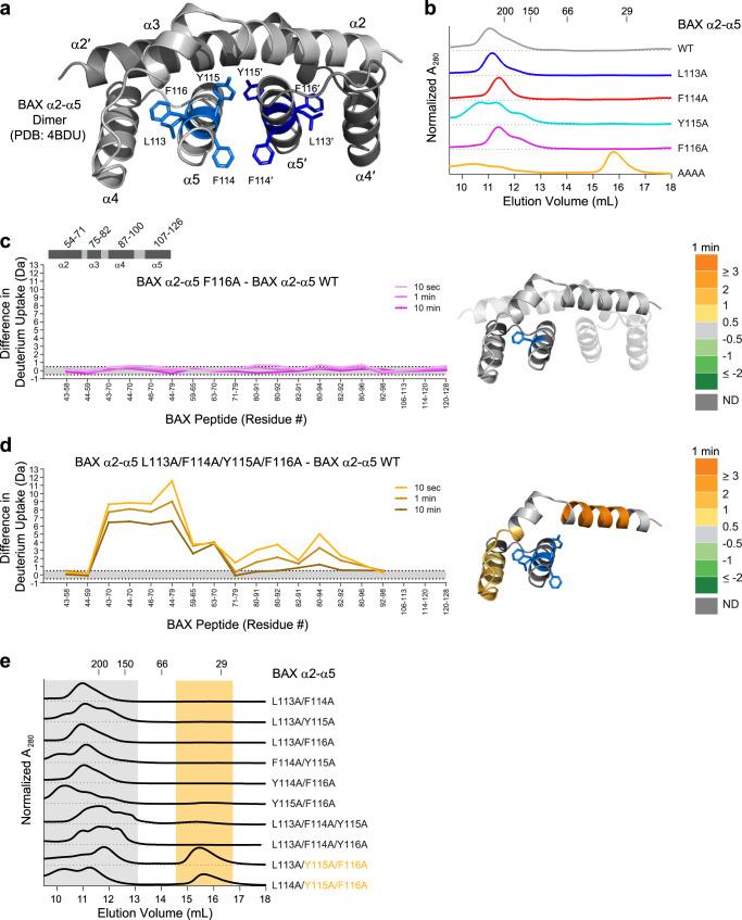 https://cdn.ncbi.nlm.nih.gov/pmc/blobs/1e4b/8363748/ef482190928d/41467_2021_25200_Fig5_HTML.jpg