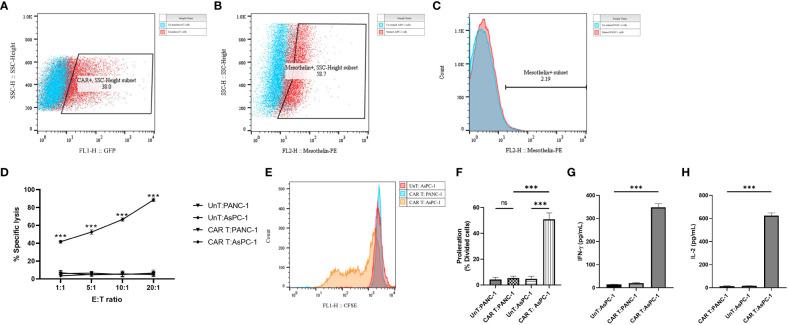 https://cdn.ncbi.nlm.nih.gov/pmc/blobs/1e4e/10348647/8641fe4f60a6/fimmu-14-1209572-g003.jpg