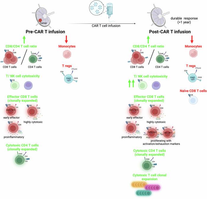 https://cdn.ncbi.nlm.nih.gov/pmc/blobs/1e52/12102275/bf1b12248fb4/41467_2025_59904_Fig7_HTML.jpg
