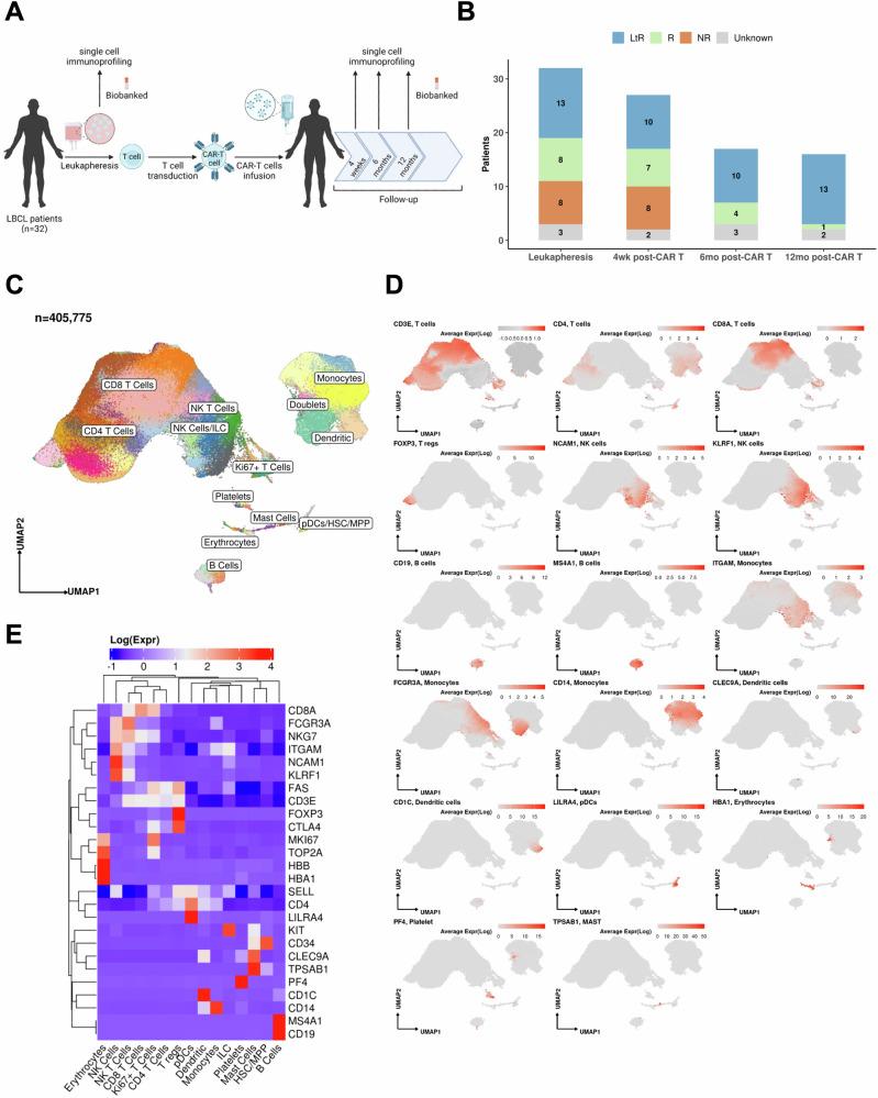 https://cdn.ncbi.nlm.nih.gov/pmc/blobs/1e52/12102275/f8531c24d42f/41467_2025_59904_Fig1_HTML.jpg