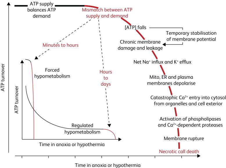 https://cdn.ncbi.nlm.nih.gov/pmc/blobs/1e54/8281225/da31cf859776/S205647402000001X_fig1.jpg