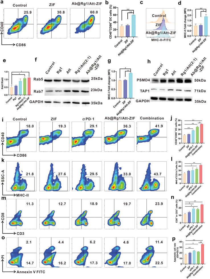 https://cdn.ncbi.nlm.nih.gov/pmc/blobs/1e55/11481235/0251313259b0/ADVS-11-2405886-g002.jpg