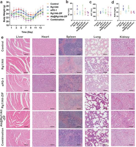 https://cdn.ncbi.nlm.nih.gov/pmc/blobs/1e55/11481235/4624a335f305/ADVS-11-2405886-g004.jpg