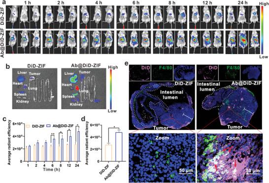 https://cdn.ncbi.nlm.nih.gov/pmc/blobs/1e55/11481235/918511161640/ADVS-11-2405886-g011.jpg