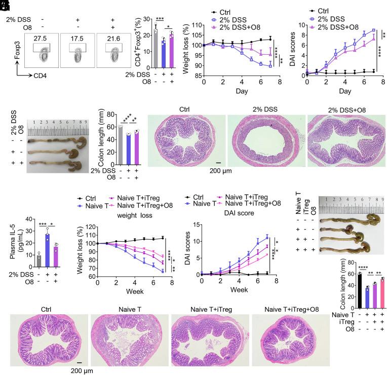 https://cdn.ncbi.nlm.nih.gov/pmc/blobs/1e55/12318175/66ba0106a566/pnas.2424733122fig08.jpg