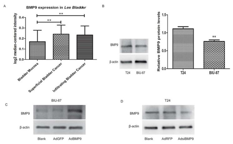 https://cdn.ncbi.nlm.nih.gov/pmc/blobs/1e55/5979556/478b194688f5/ijms-19-01116-g001.jpg