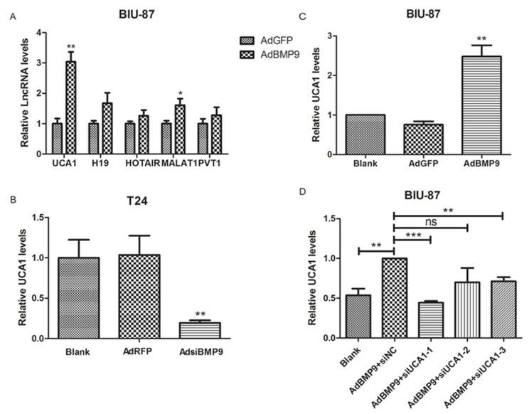 https://cdn.ncbi.nlm.nih.gov/pmc/blobs/1e55/5979556/4fdd44771191/ijms-19-01116-g003.jpg