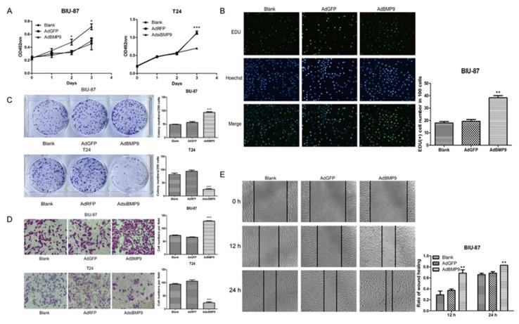 https://cdn.ncbi.nlm.nih.gov/pmc/blobs/1e55/5979556/81622cc43528/ijms-19-01116-g002.jpg