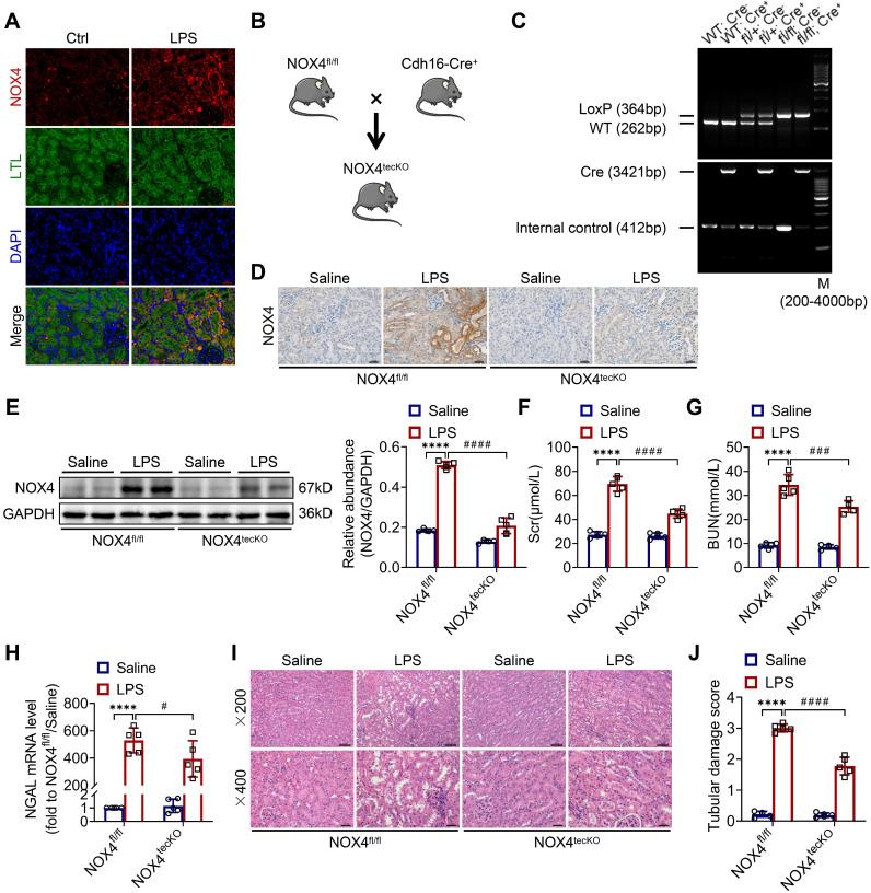 https://cdn.ncbi.nlm.nih.gov/pmc/blobs/1e56/10240817/02de096adc22/thnov13p2863g001.jpg