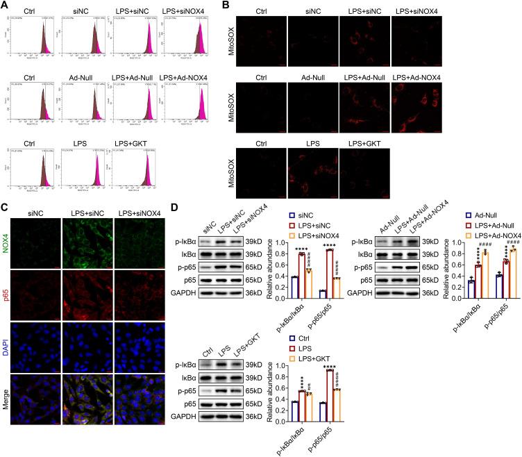 https://cdn.ncbi.nlm.nih.gov/pmc/blobs/1e56/10240817/0f50f11073a0/thnov13p2863g009.jpg