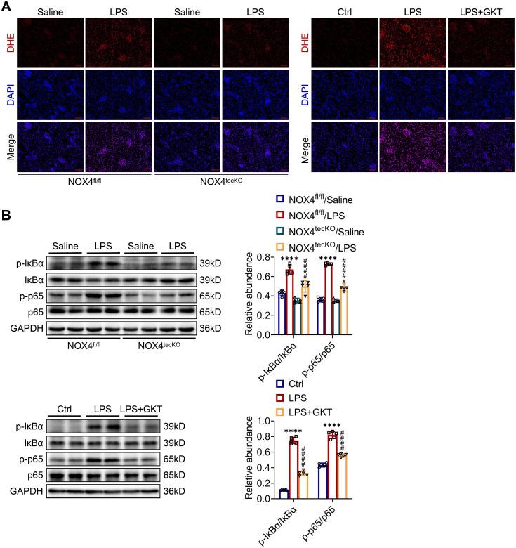 https://cdn.ncbi.nlm.nih.gov/pmc/blobs/1e56/10240817/1dcafc1acfcf/thnov13p2863g005.jpg