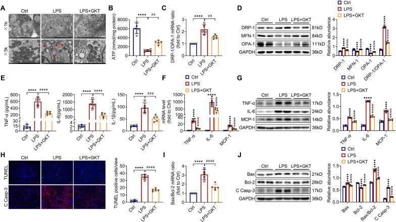 https://cdn.ncbi.nlm.nih.gov/pmc/blobs/1e56/10240817/7ba5f3ba4d7f/thnov13p2863g004.jpg