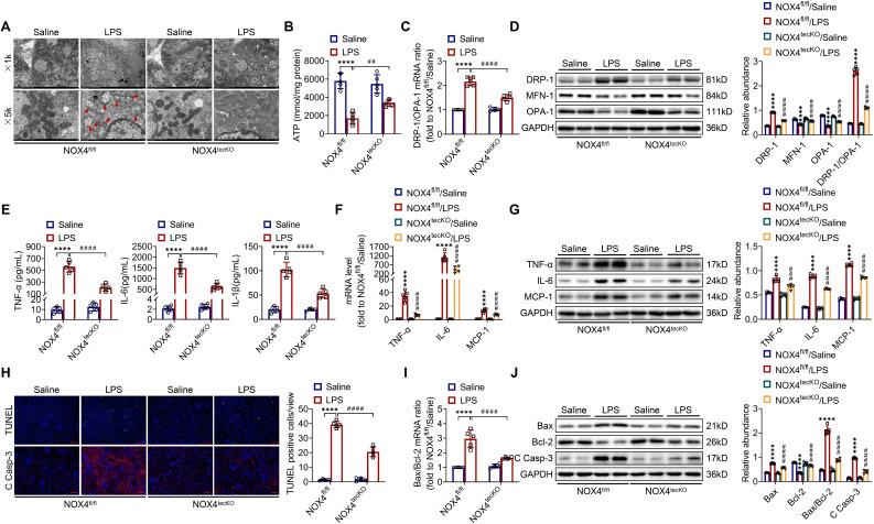https://cdn.ncbi.nlm.nih.gov/pmc/blobs/1e56/10240817/9566226af720/thnov13p2863g003.jpg