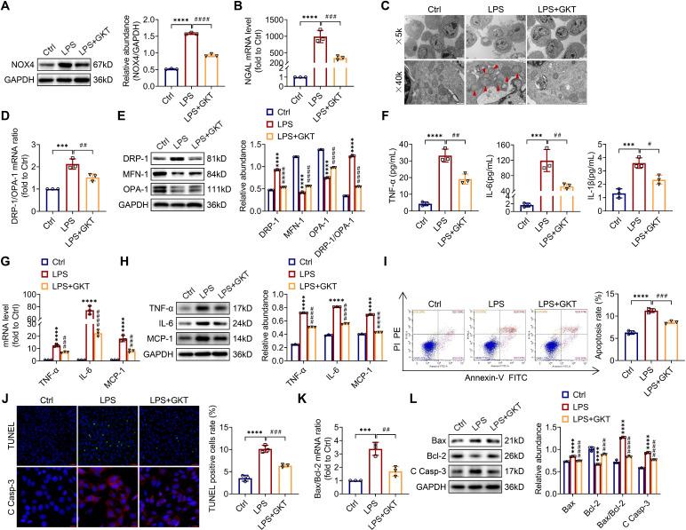 https://cdn.ncbi.nlm.nih.gov/pmc/blobs/1e56/10240817/ded994040712/thnov13p2863g008.jpg