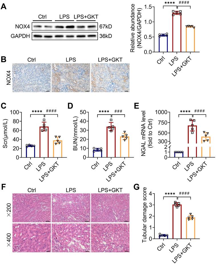 https://cdn.ncbi.nlm.nih.gov/pmc/blobs/1e56/10240817/e60710027fdc/thnov13p2863g002.jpg