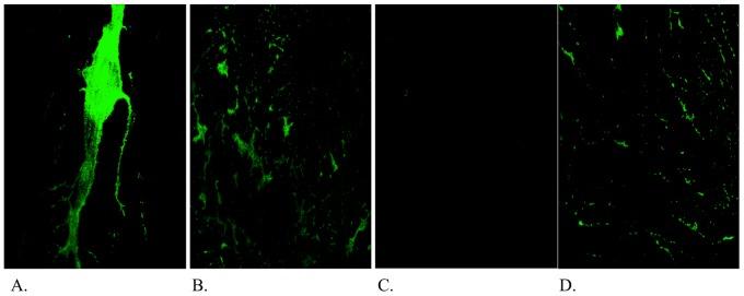 https://cdn.ncbi.nlm.nih.gov/pmc/blobs/1e56/3962386/d3714ede5ff1/pone.0092117.g005.jpg