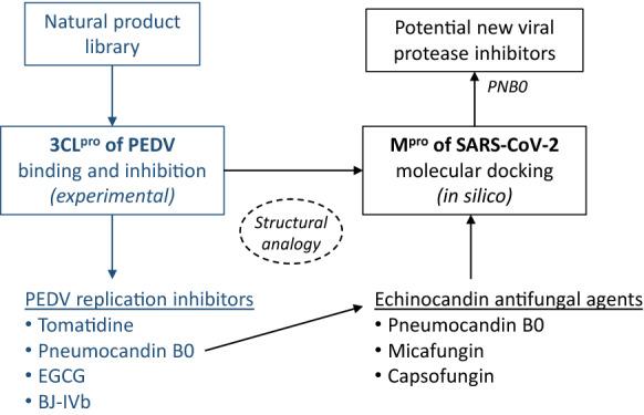https://cdn.ncbi.nlm.nih.gov/pmc/blobs/1e56/8249545/856ee94aa123/40203_2021_101_Fig2_HTML.jpg