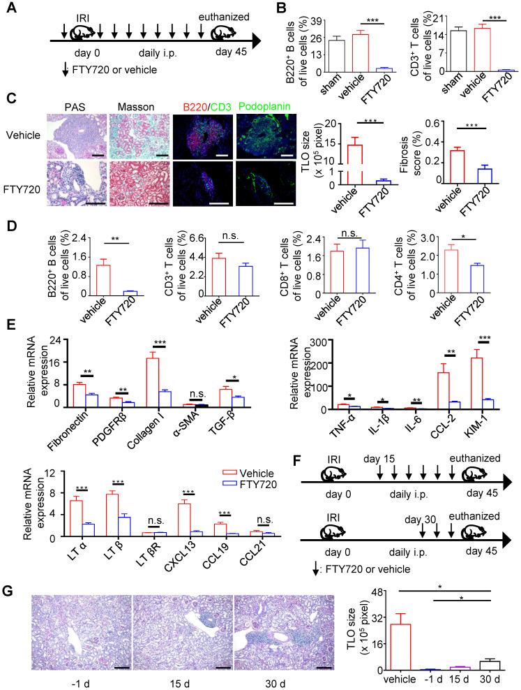 https://cdn.ncbi.nlm.nih.gov/pmc/blobs/1e57/7681089/6ea090774fec/thnov11p0117g004.jpg