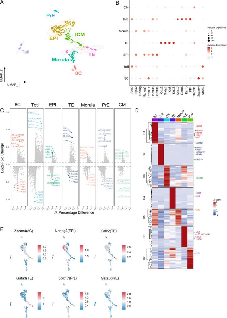 https://cdn.ncbi.nlm.nih.gov/pmc/blobs/1e5b/11440810/8e18a7ac3d89/12864_2024_10815_Fig2_HTML.jpg