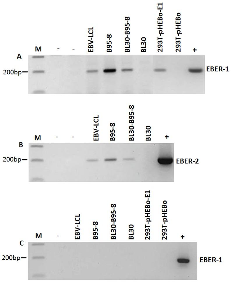 https://cdn.ncbi.nlm.nih.gov/pmc/blobs/1e5b/4045842/85709b9de6a7/pone.0099163.g001.jpg