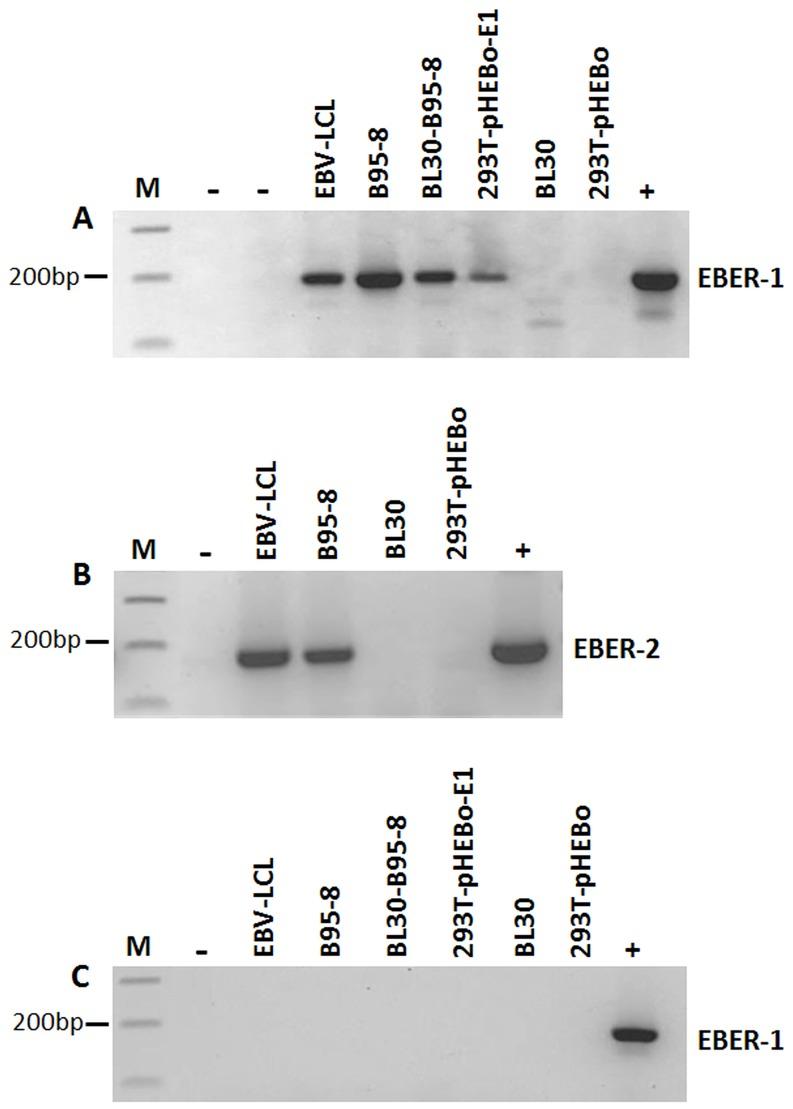 https://cdn.ncbi.nlm.nih.gov/pmc/blobs/1e5b/4045842/d6716334adbf/pone.0099163.g004.jpg