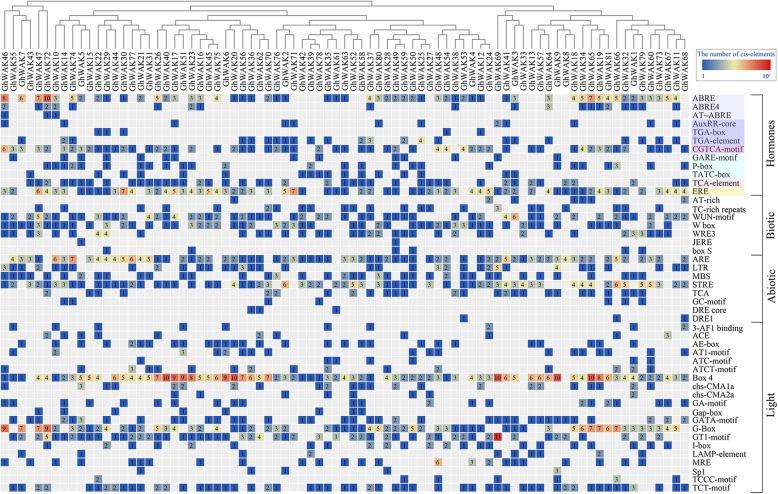 https://cdn.ncbi.nlm.nih.gov/pmc/blobs/1e5b/8122570/253f0dade0d6/12870_2021_2992_Fig3_HTML.jpg