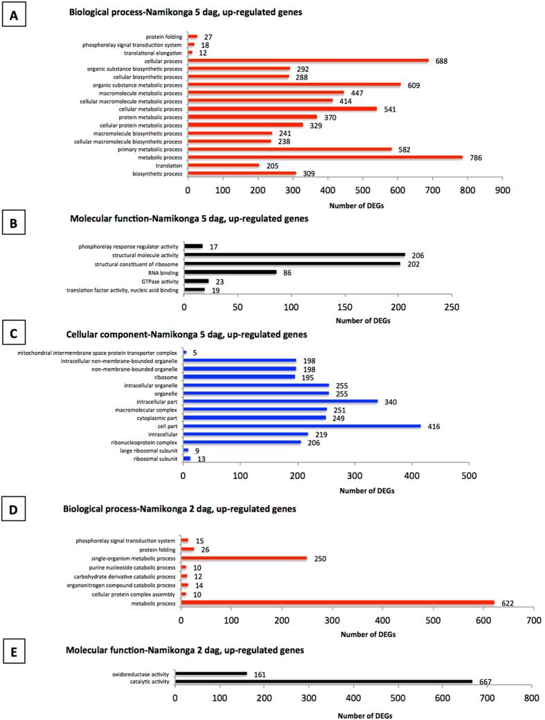 https://cdn.ncbi.nlm.nih.gov/pmc/blobs/1e5c/5575035/1b6e88be1b3c/41598_2017_9617_Fig5_HTML.jpg