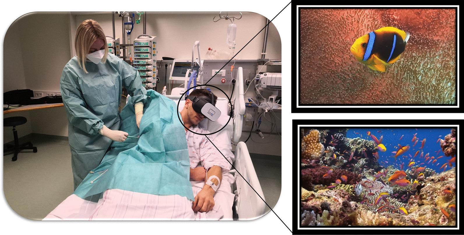 https://cdn.ncbi.nlm.nih.gov/pmc/blobs/1e5d/9598028/a564e3b9c229/13054_2022_4202_Fig4_HTML.jpg