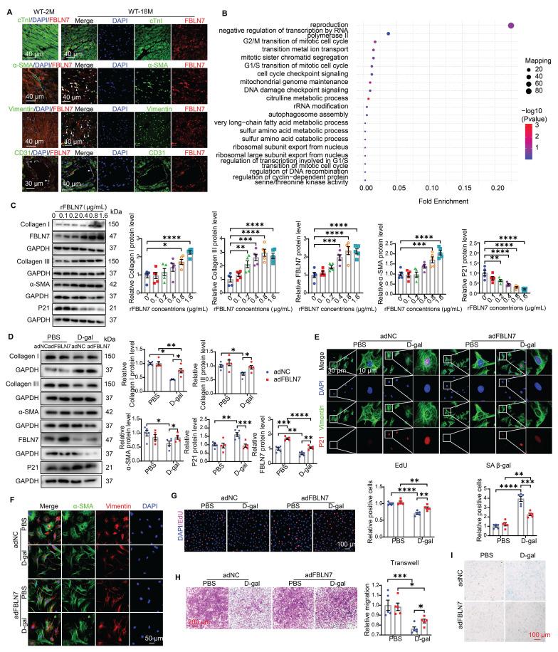 https://cdn.ncbi.nlm.nih.gov/pmc/blobs/1e5e/12374634/516e00d50d25/thnov15p8531g003.jpg